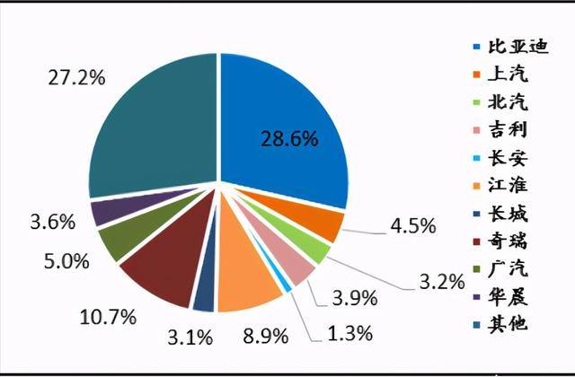 2019年新能源乘用車市場份額比